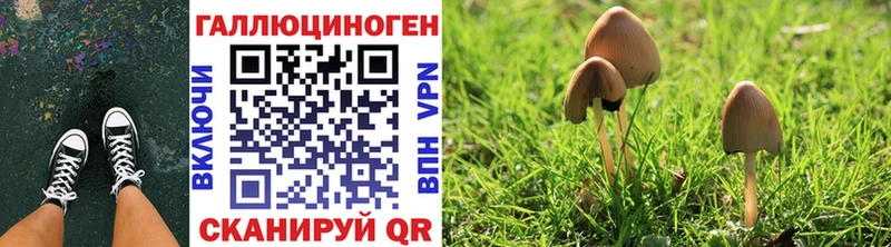 Галлюциногенные грибы ЛСД  Туринск 